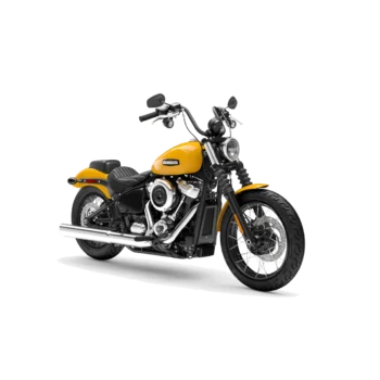 Harley-Davidson Fat Boy Gray Ghost Prix en Tunisie