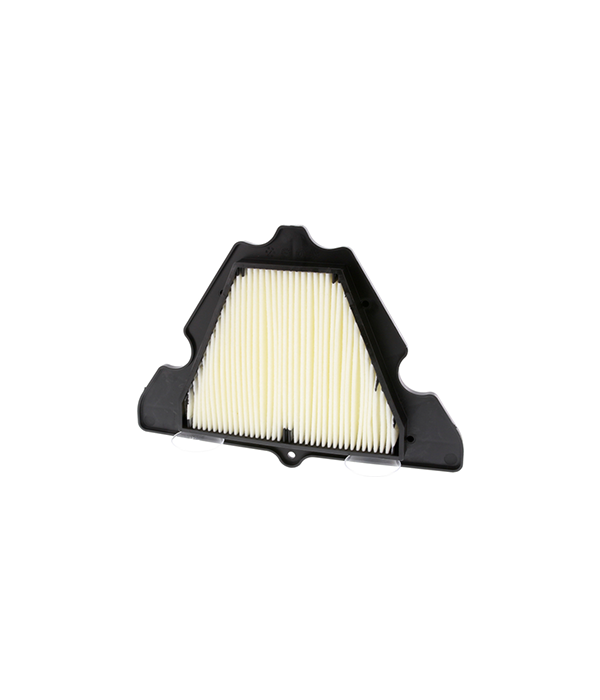 Filtre à Air CHAMPION CAF1920