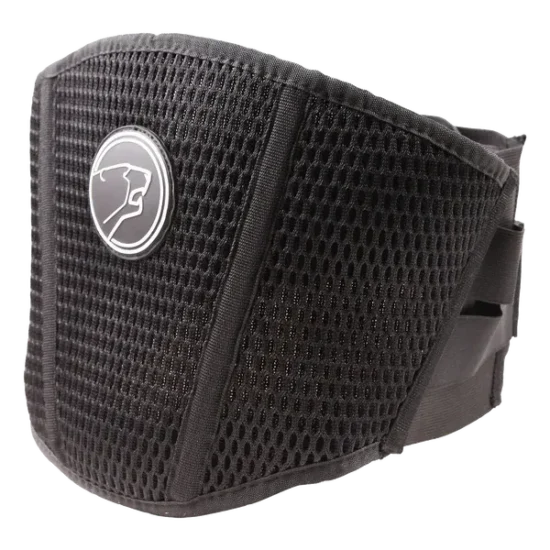 Ceinture Lombaire Moto Prix en Tunisie