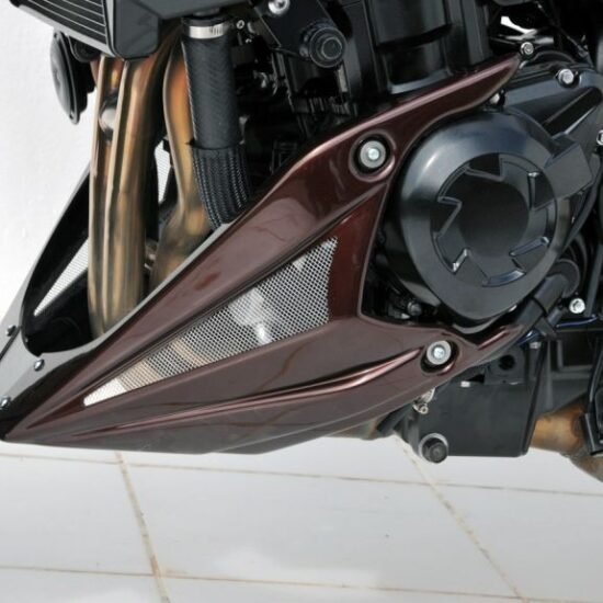 Sabot moteur Noir Satin ERMAX pour Kawasaki Z 1000 (10-13)